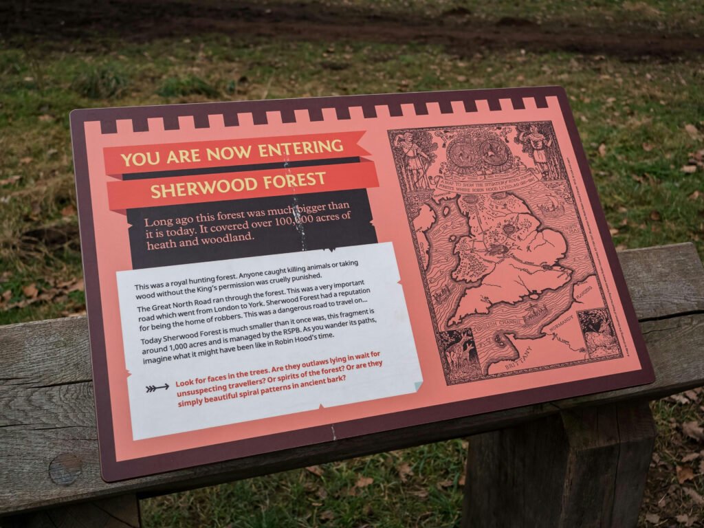 sherwood-forest-2